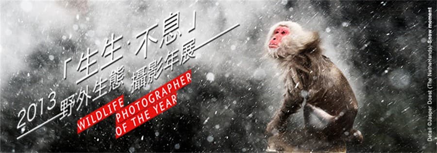 Wildlife Photographer of the Year Exhibition