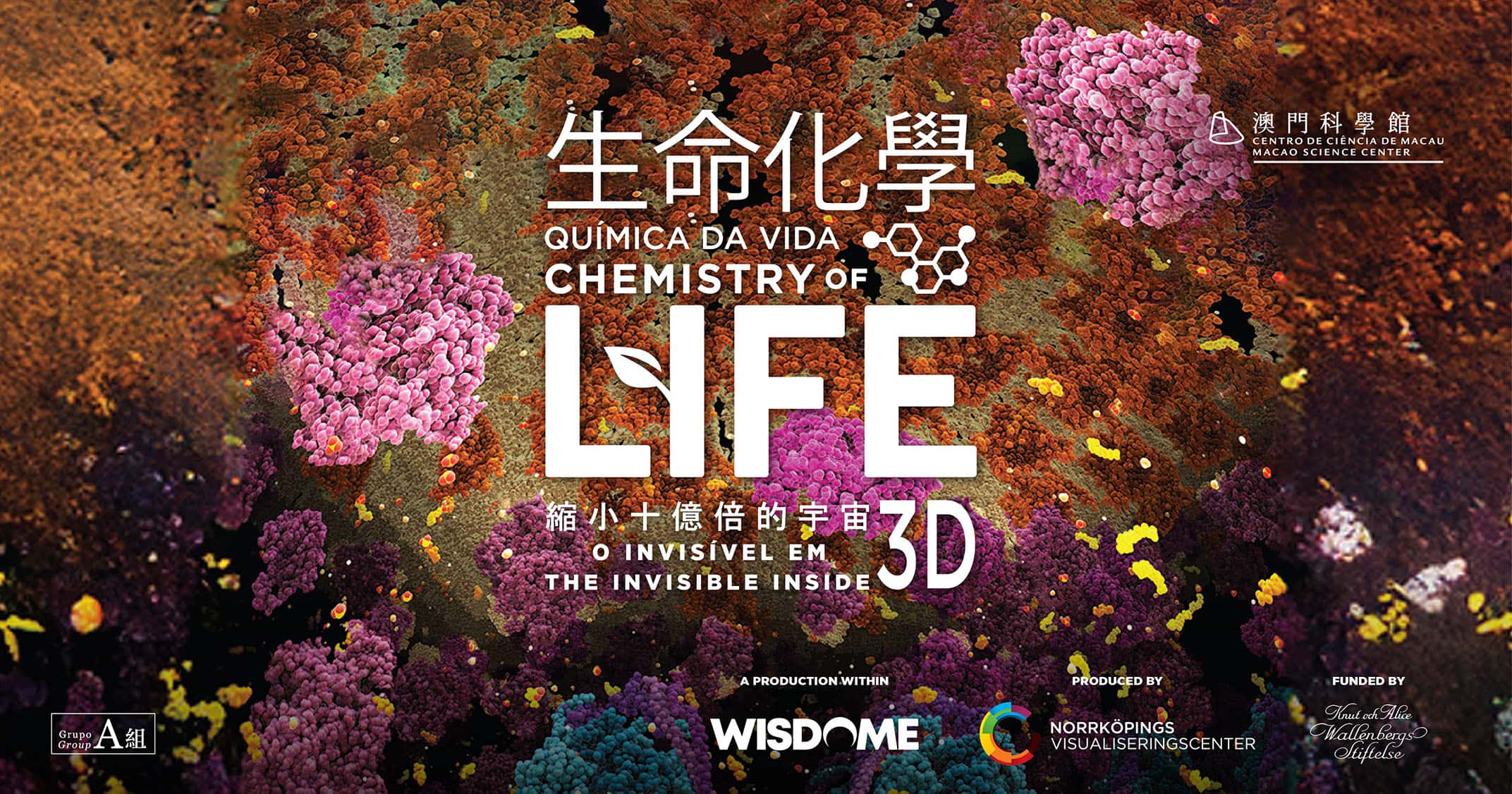 生命化學：縮小十億倍的宇宙3D