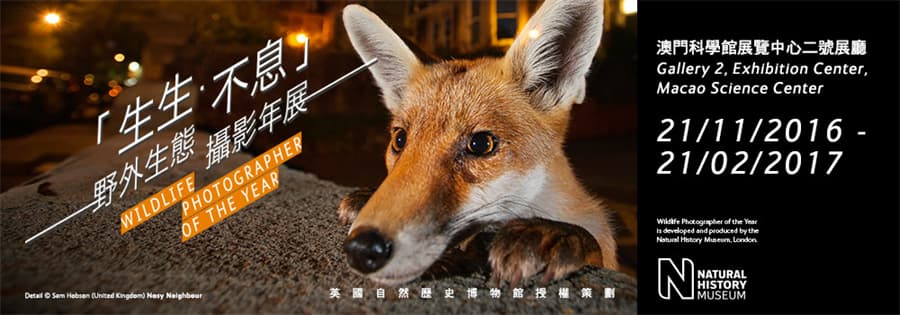 「生生．不息」 野外生態攝影年展