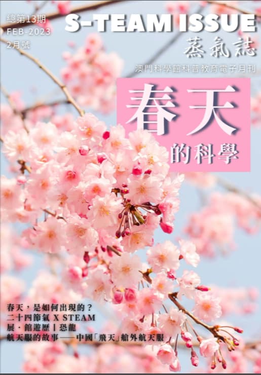 總第13期  2023-2月號