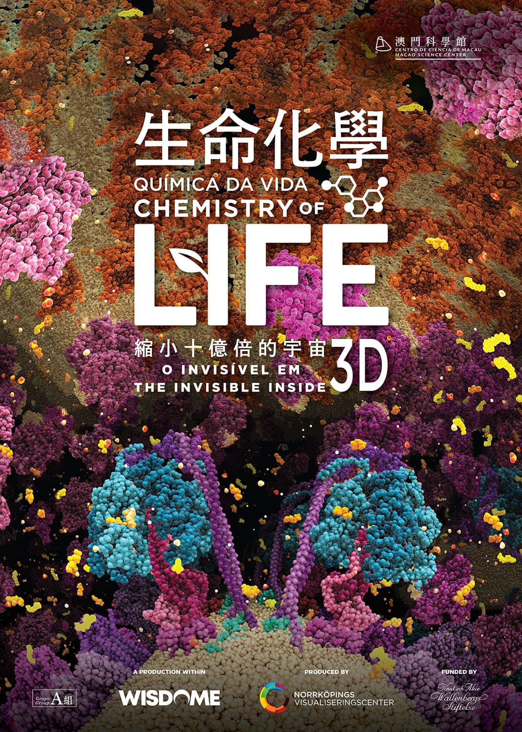 Chemistry of Life - The Invisible Inside 3D